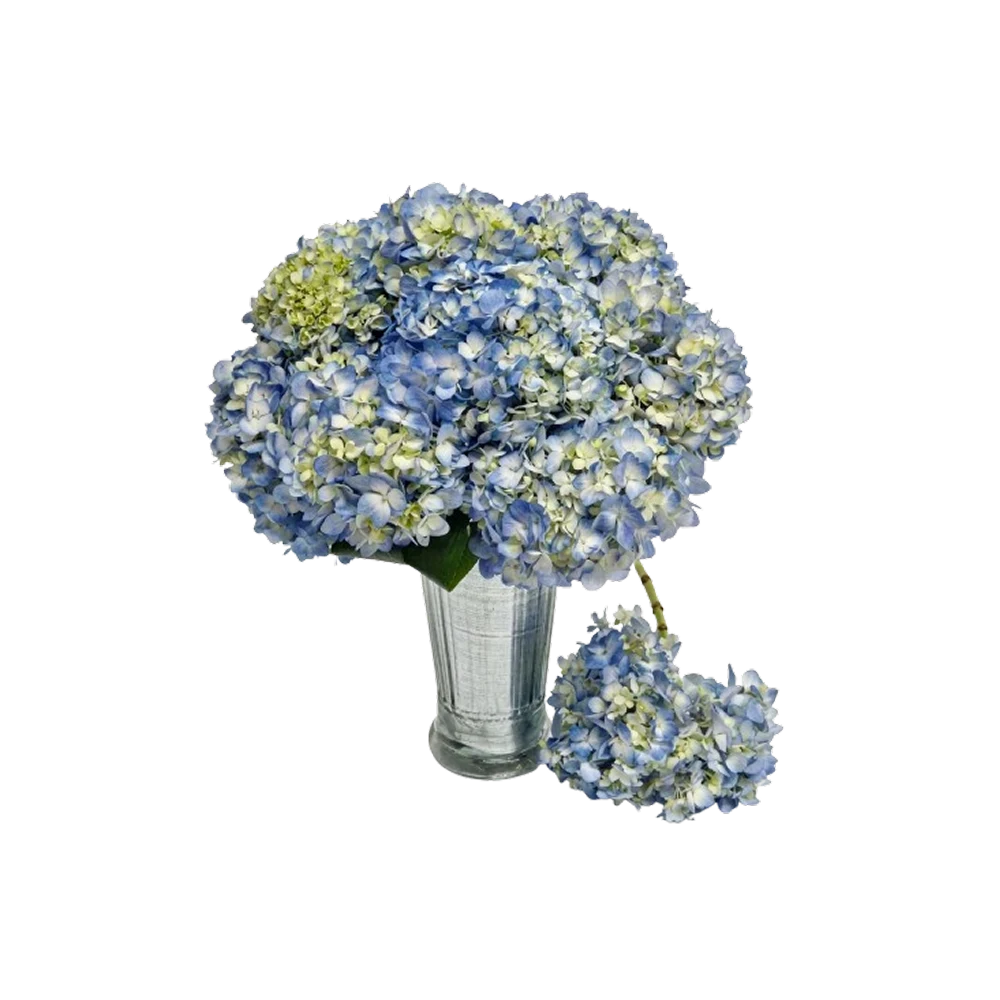 Coastal Serenity — product photo