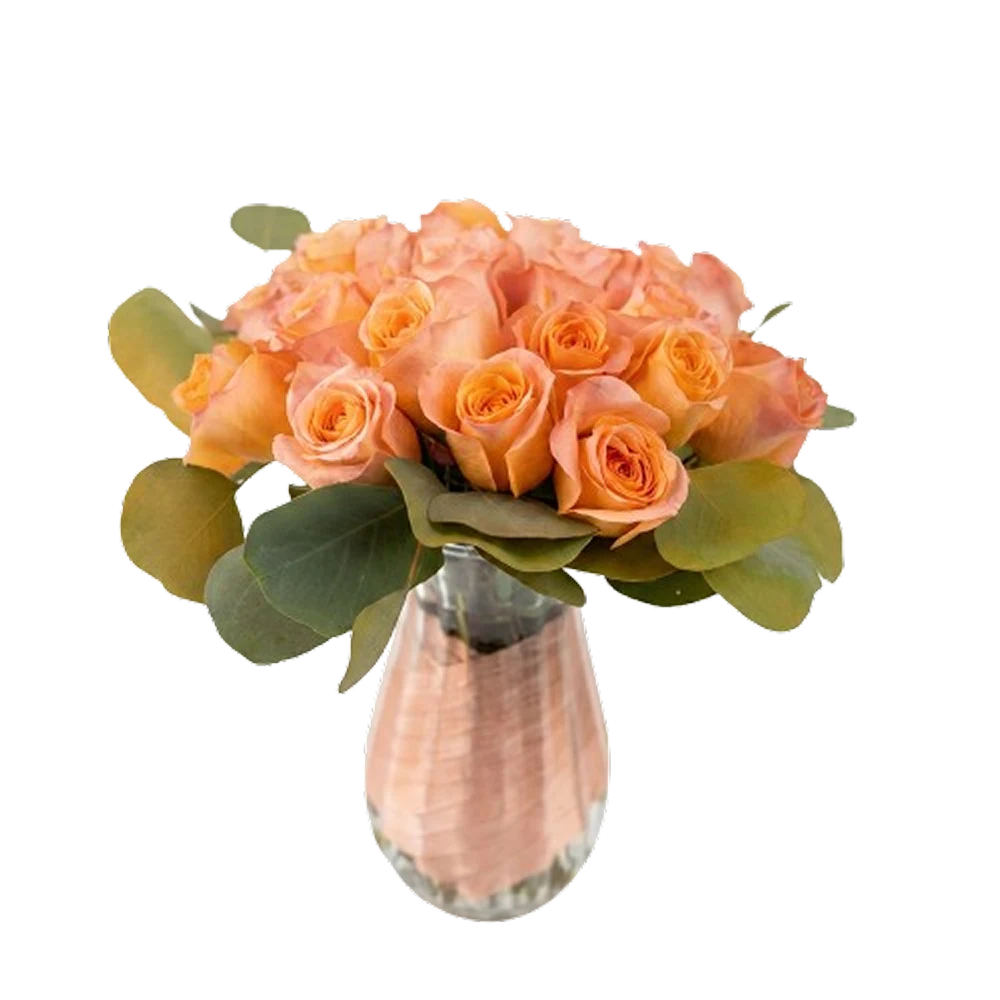 Sunset Blush Roses — product photo