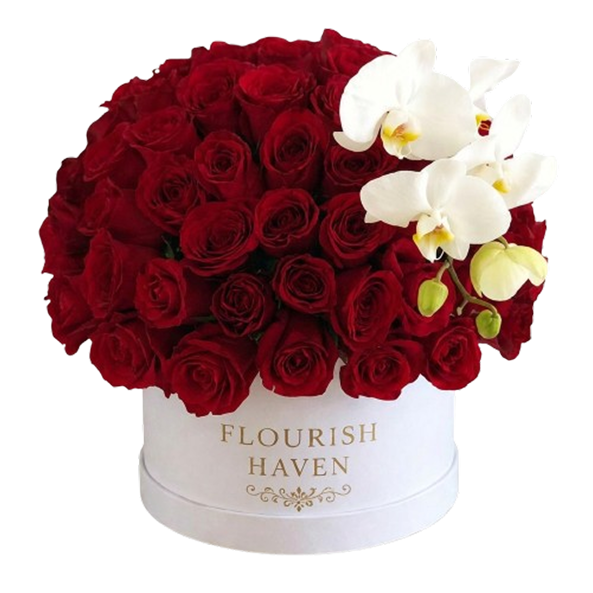 Orchid Obsession floral arrangement by Flourish Haven